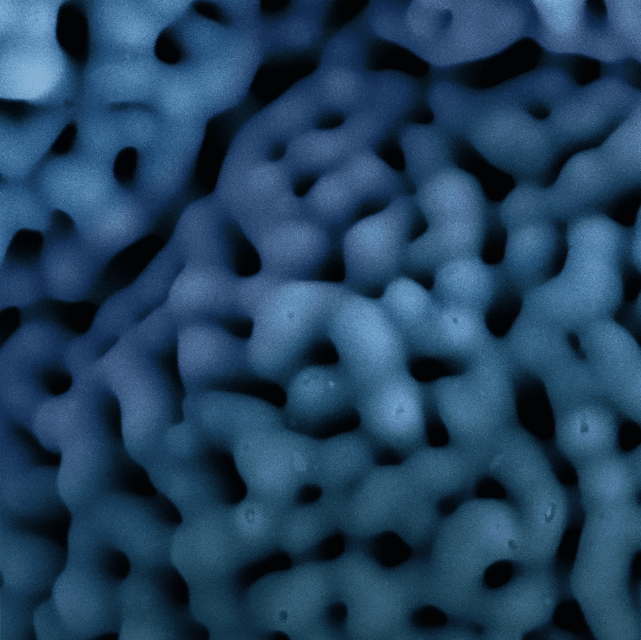 Gain Confidence in Scanning Electron Microscope (SEM) Optimization & Analysis