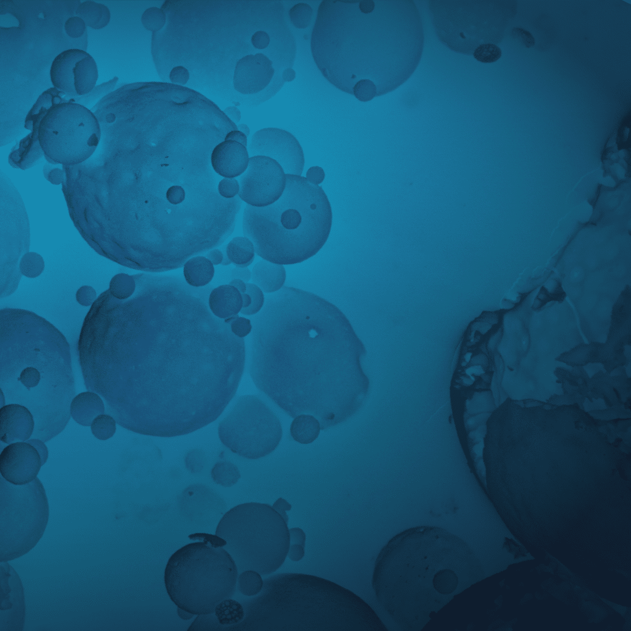 CT vs SEM: 10 Comparisons for Subsurface Imaging Analysis