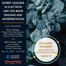 Expert Lessons in Electron and Ion Beam Imaging and Interpretation