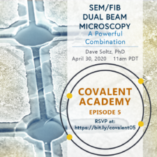 SEM/FIB DualBeam Microscopy: A Powerful Combination