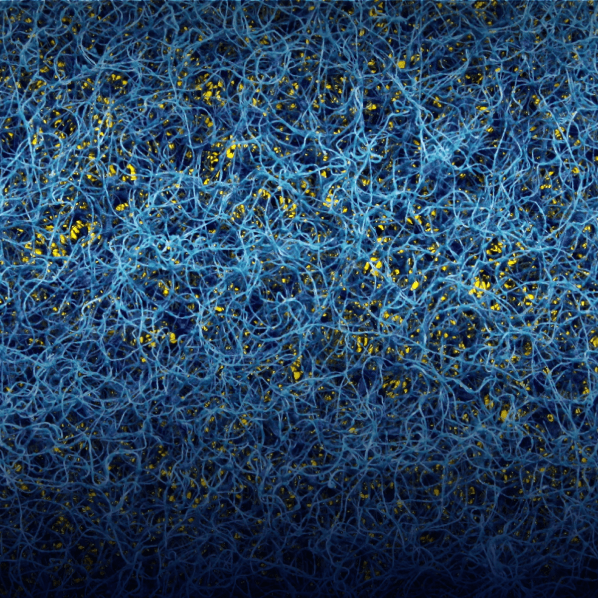 Porous Materials Characterization With Porometry, Porosimetry, and Pycnometry