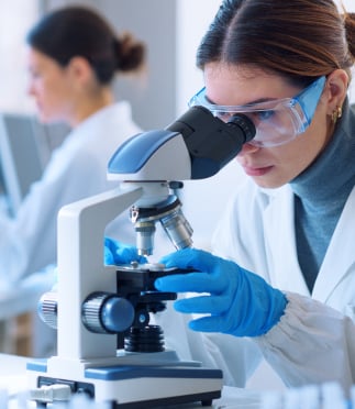 Mapping Active Ingredients in Pharmaceuticals