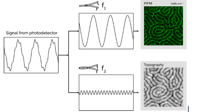 Diagram depicting the working principle of PiFM 